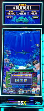 65X: A Experiência de Casino com Jogos de Mesa ao Vivo